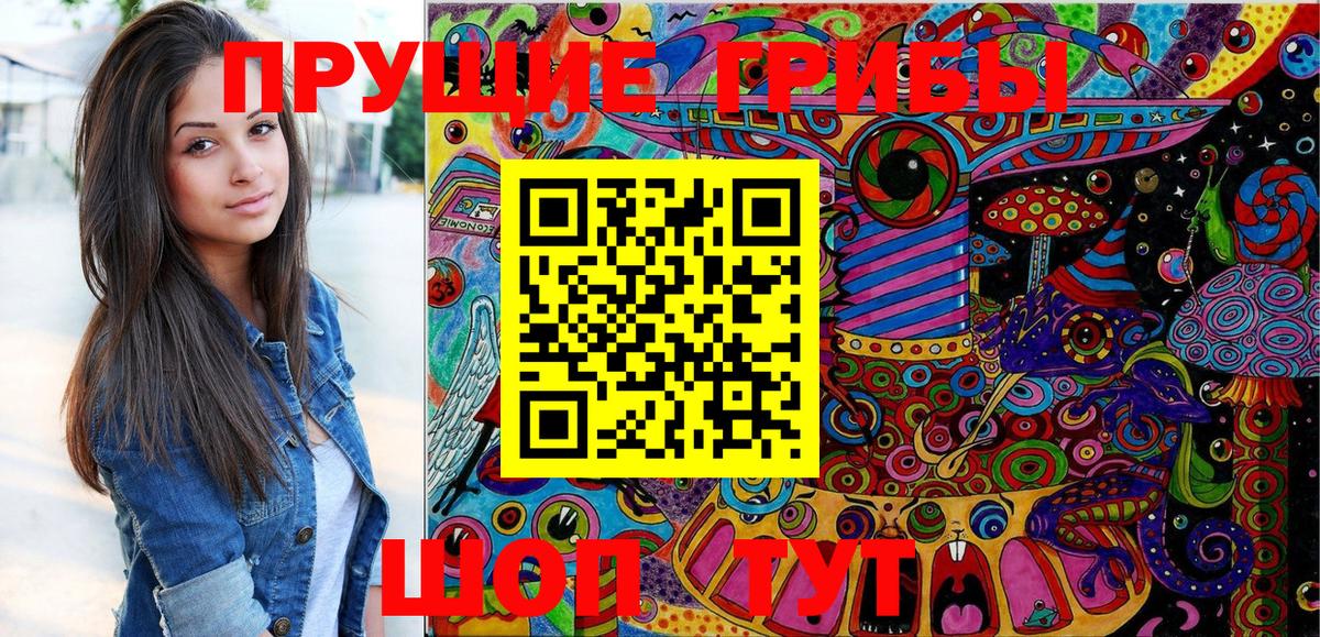где купить наркоту  Вход с VPN  Сафоново  Псилоцибиновые грибы GOLDEN TEACHER 