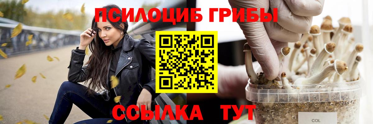 Псилоцибиновые грибы Psilocybine cubensis Сафоново